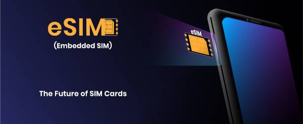 When can I remove an eSIM?
